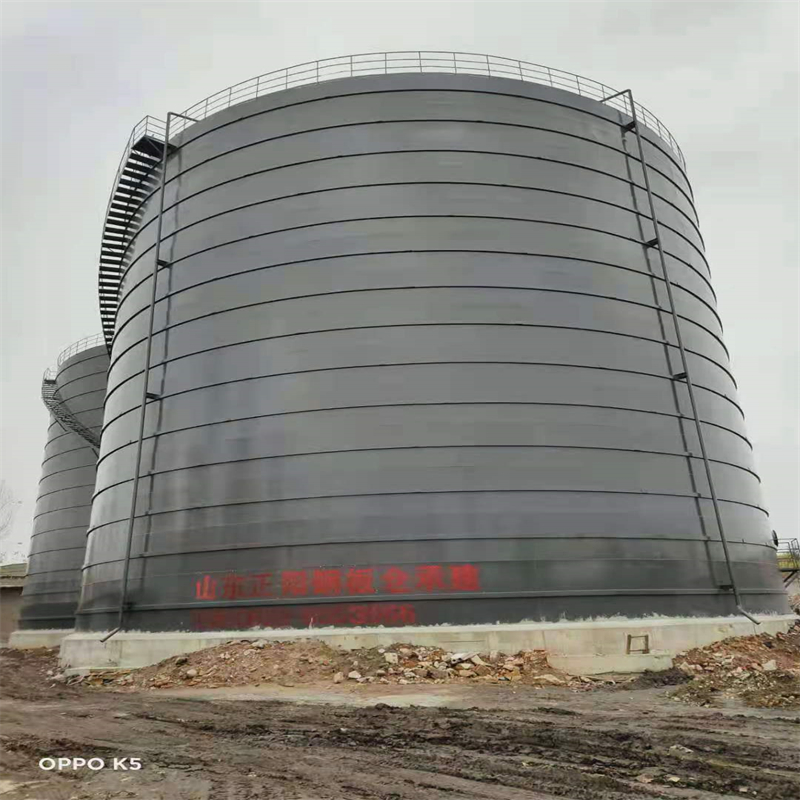 金凤3万吨大型钢板库